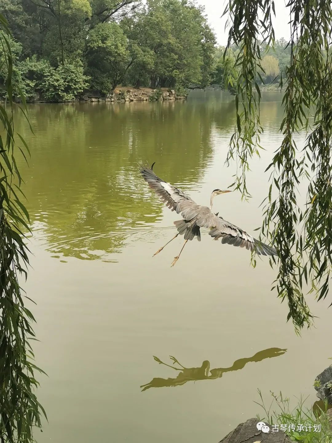 招募令 | 北京大學(xué)昆曲、古琴課程學(xué)生助理&志愿者招募啦！