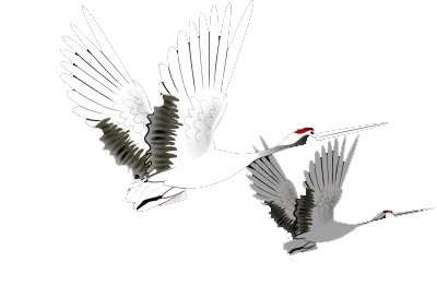 高山流水古琴音樂特點_高山流水古琴音樂鑒賞_高山流水的音樂古琴