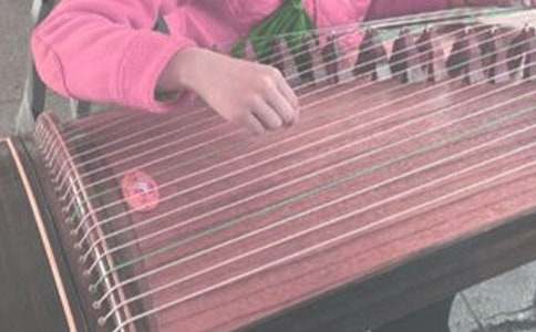 <strong>我學(xué)會了彈古箏作文</strong>