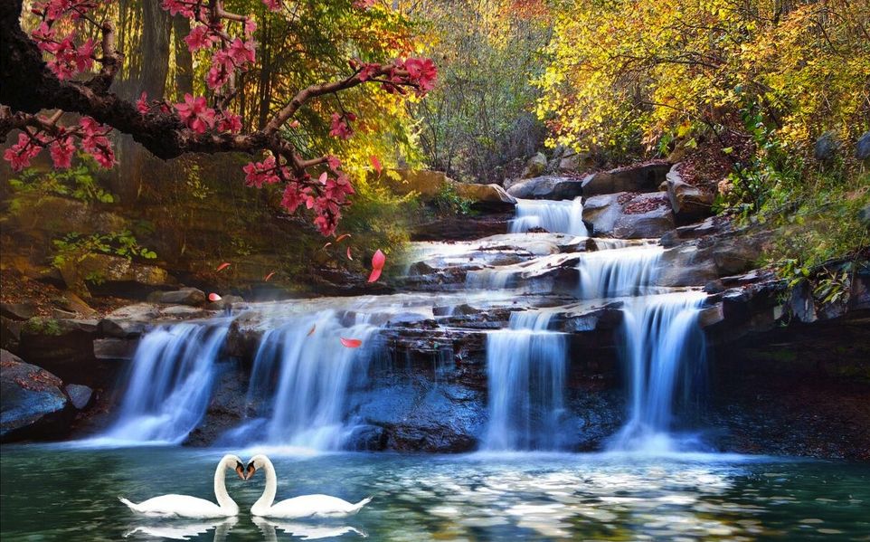 屬于古琴曲的是_以下哪首作品不屬于古琴曲?_古琴曲首作品以下屬于曲調的是