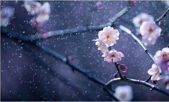 古琴曲首作品以下屬于曲調的是_屬于古琴曲的是_以下哪首作品不屬于古琴曲?