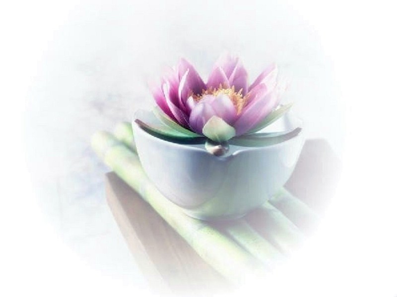 古琴曲一念心清凈_古琴曲一念心清凈減字譜_一念心清凈古琴曲