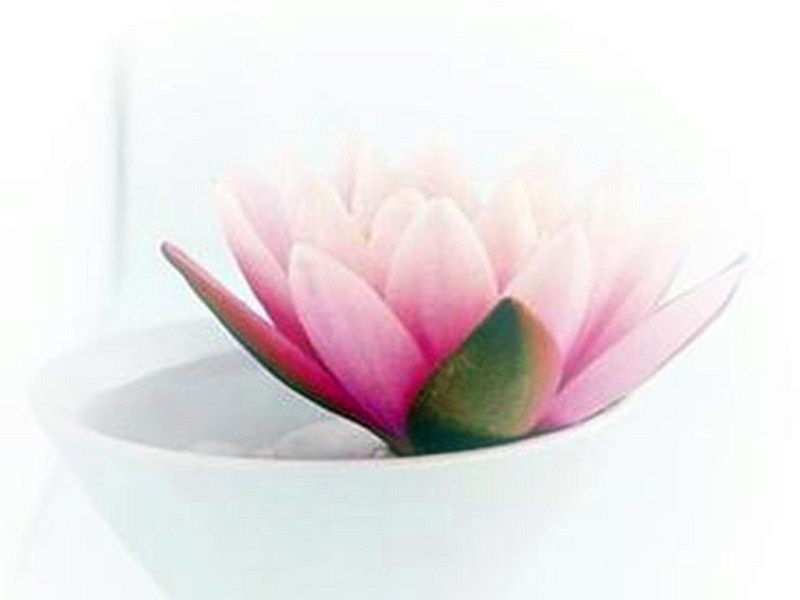 古琴曲一念心清凈_一念心清凈古琴曲_古琴曲一念心清凈減字譜